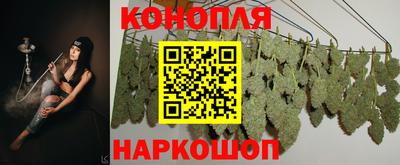 таблы Будённовск