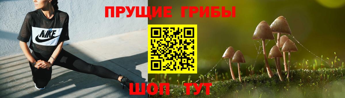 Галлюциногенные грибы прущие грибы  Вход с VPN  Новомосковск 