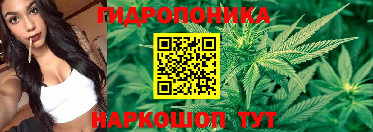 Шишки марихуана VHQ  Марихуана ГИДРОПОН  Конопля Bruce Banner  Новомосковск  Вход с VPN  Канабис гибрид 